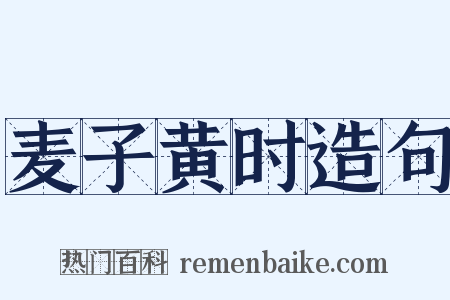 麦子黄时造句是什么意思的图片